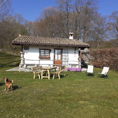 Baita Tana Da L'Ors Forgaria nel Friuli Екстериор снимка