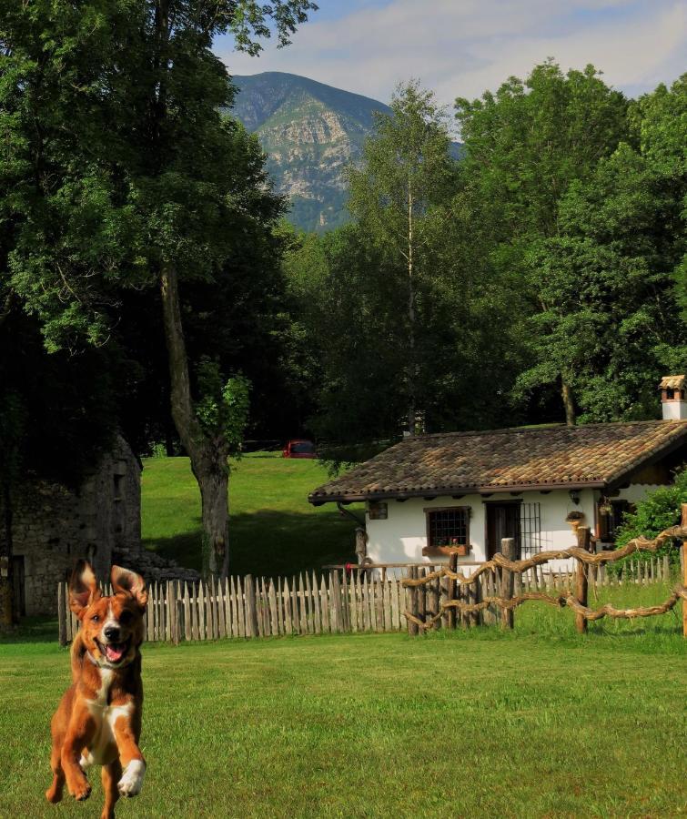 Baita Tana Da L'Ors Forgaria nel Friuli Екстериор снимка