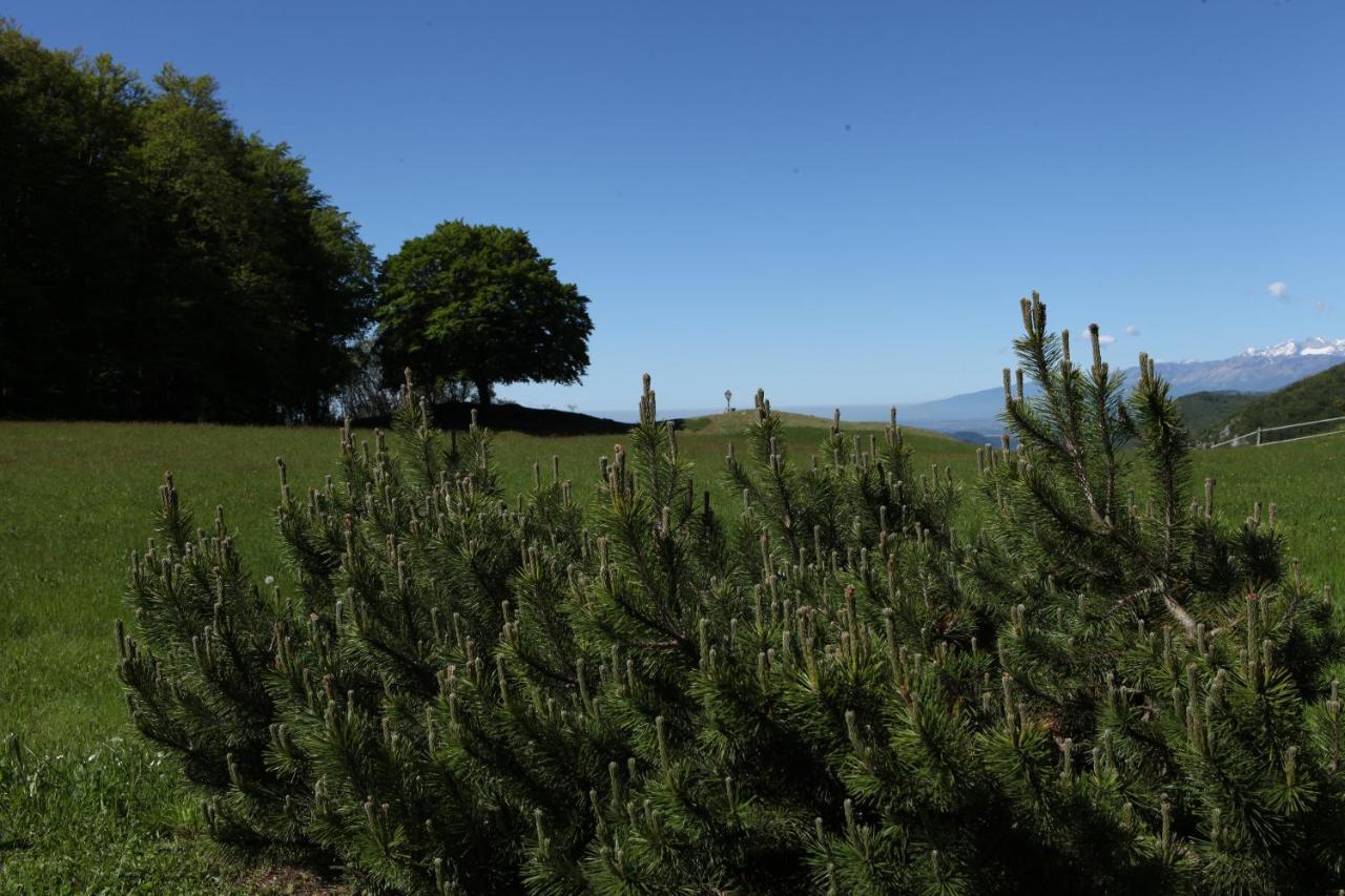 Baita Tana Da L'Ors Forgaria nel Friuli Екстериор снимка