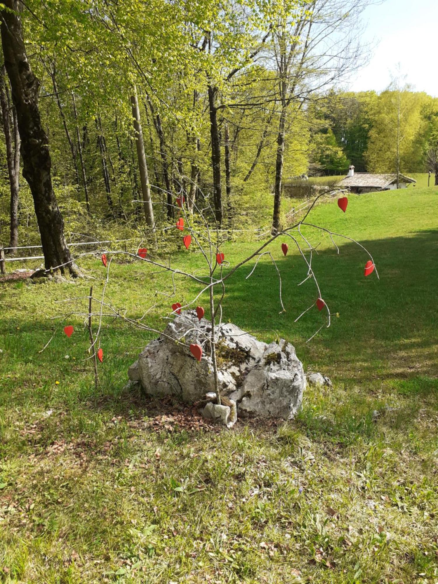 Baita Tana Da L'Ors Forgaria nel Friuli Стая снимка
