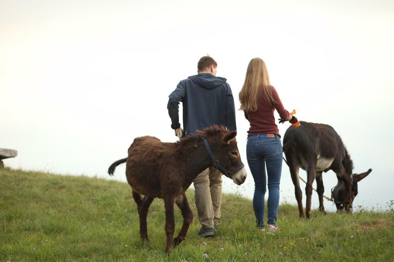 Baita Tana Da L'Ors Forgaria nel Friuli Екстериор снимка