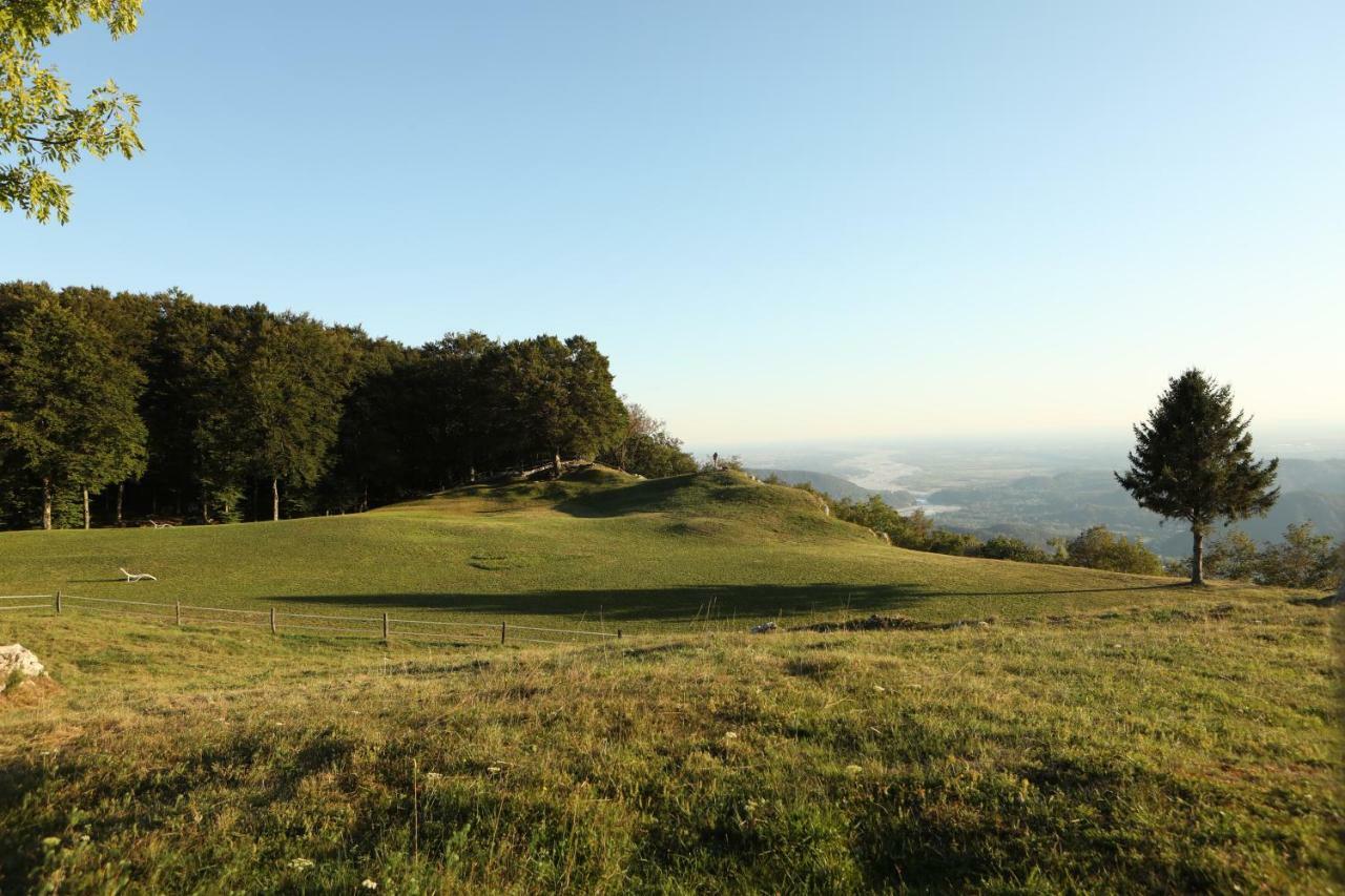Baita Tana Da L'Ors Forgaria nel Friuli Екстериор снимка